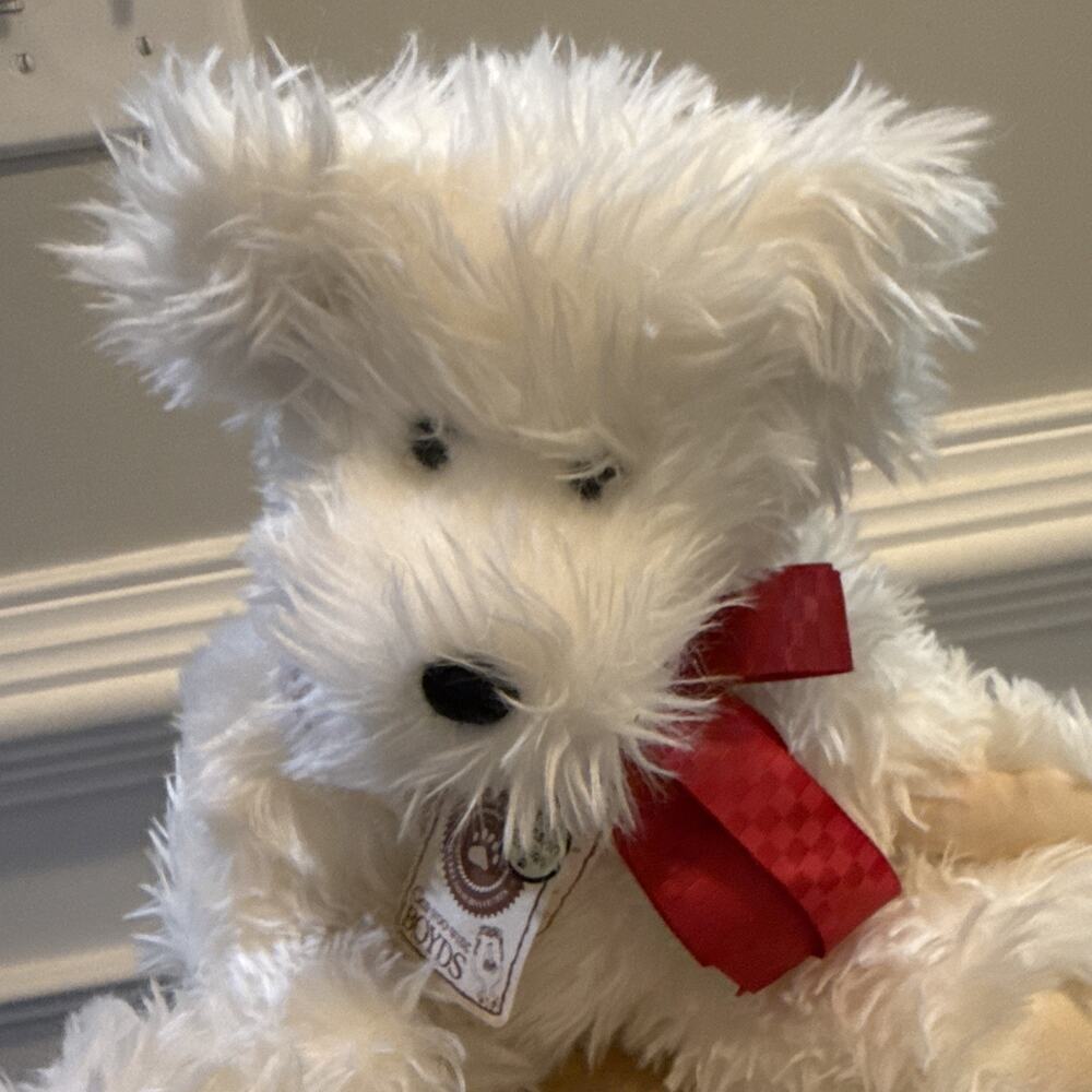 Boyds Bear B Everluvin Plush 82019 Special Occasion White 16” EUC Tags - Picture 3 of 10